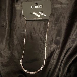 Charming Charlie Silver Necklace/Earring set. New